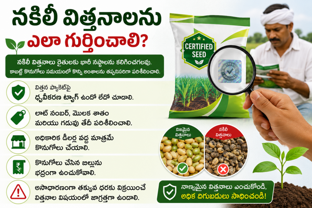 అసలైన విత్తన ప్యాకెట్‌ను పరిశీలిస్తున్న రైతు మరియు నకిలీ విత్తనాల గుర్తింపు సూచనలు