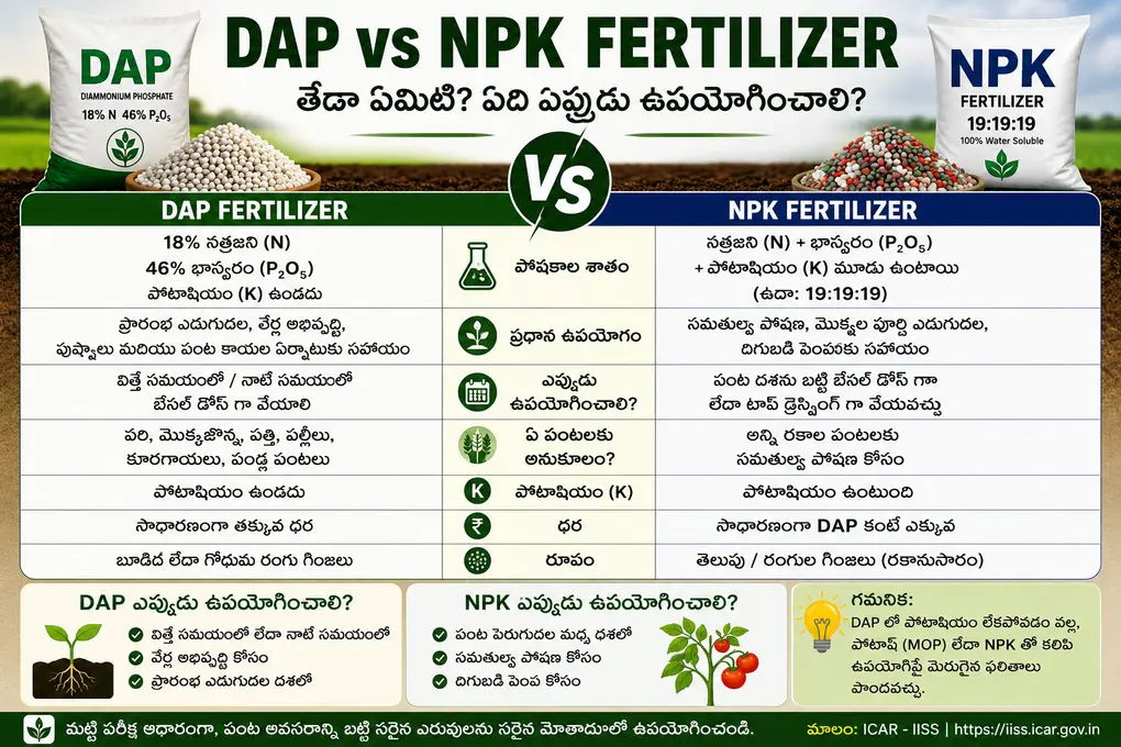 Difference between DAP Fertilizer and NPK Fertilizer