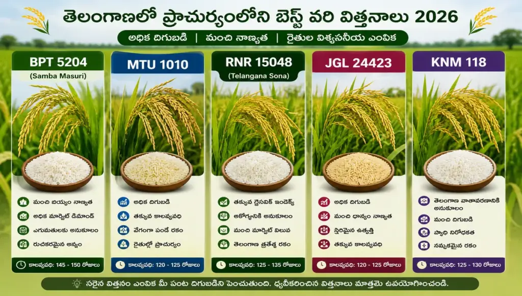 best paddy seeds for Telangana farmers
