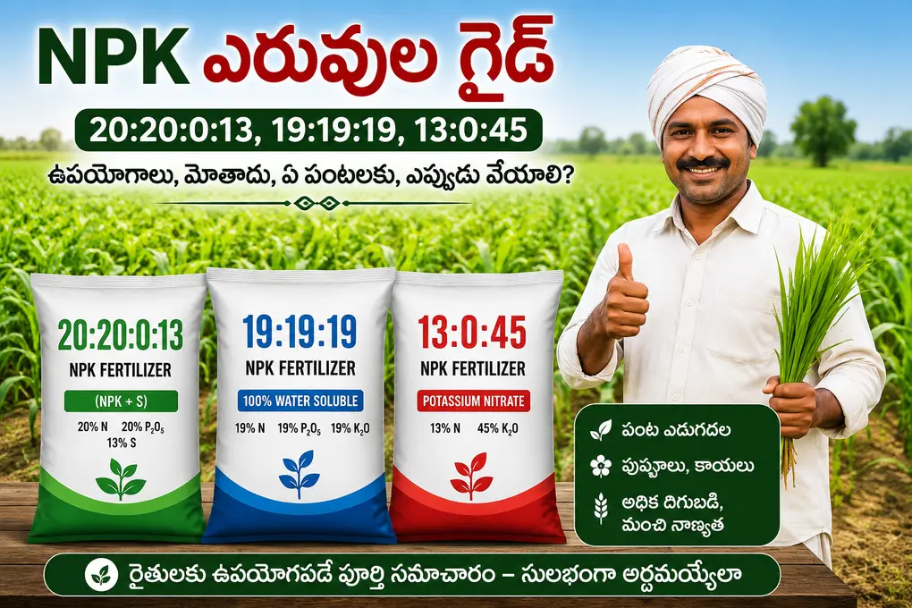 NPK Fertilizer 20.20.0.13, 19.19.19, 13,0,45 ఎరువుల గైడ్