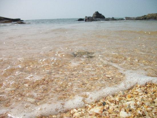 st marys island shell beach సెయింట్ మేరీస్ ఐలాండ్ తీరంలో కనిపించే గవ్వలు మరియు ఆలుచిప్పలు
