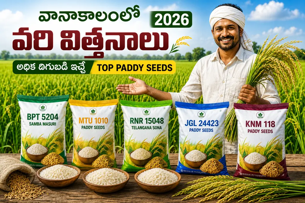 వానాకాలం వరి విత్తనాలు 2026: అధిక దిగుబడి ఇచ్చే Top Paddy Seeds