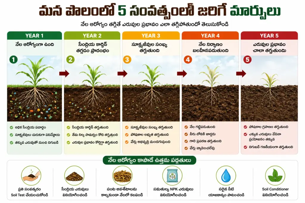 నేలలో సంవత్సరానికి సంవత్సరం జరిగే మార్పులు