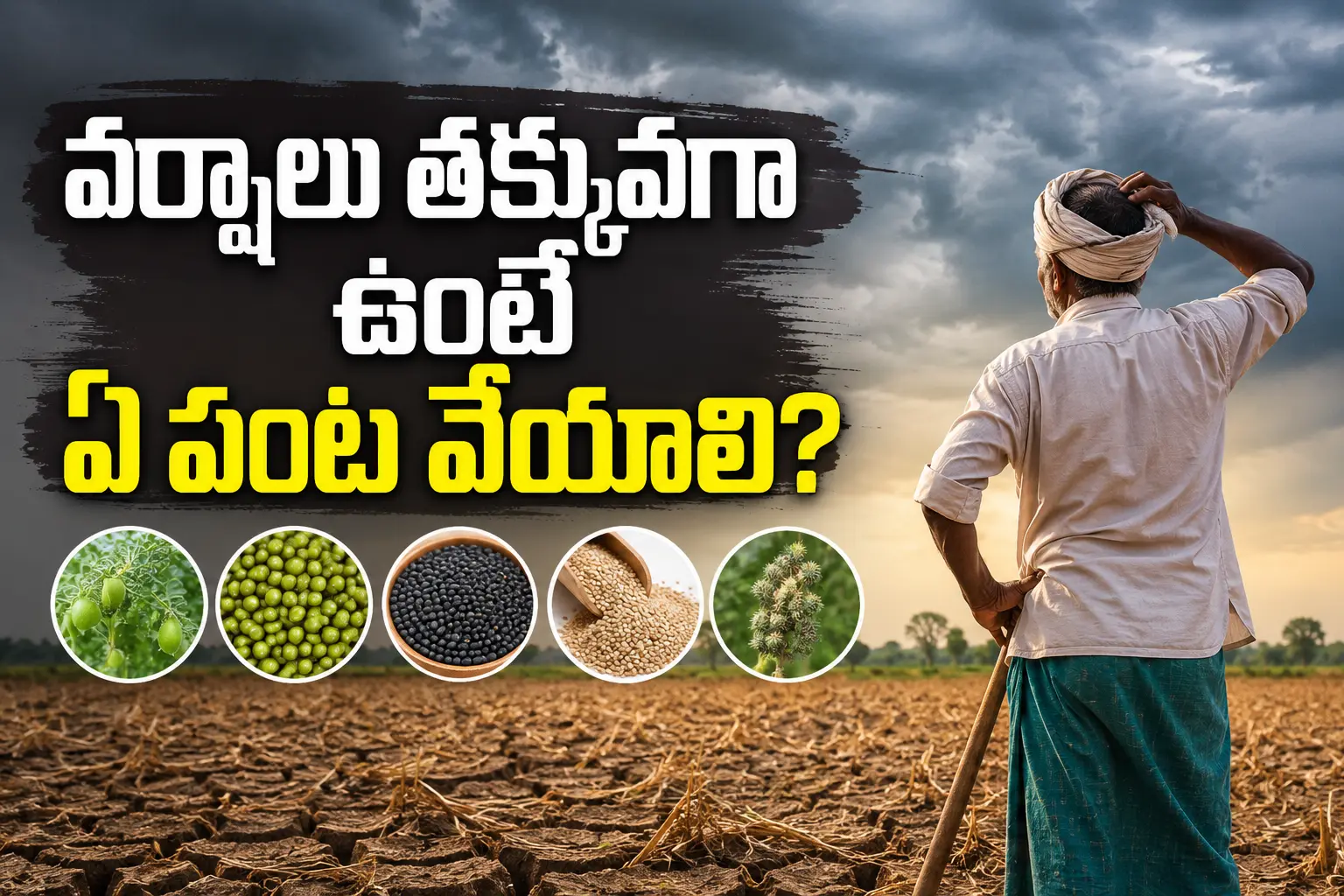 వర్షాలు తక్కువగా ఉంటే ఏ పంట వేయాలి అనే అంశాన్ని చూపించే రైతు పొలం దృశ్యం